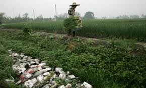 China Plans to Curb Use of Pesticides and Fertilizers