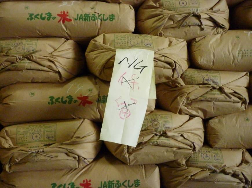 Fertilizer Helps All 2014 Fukushima Rice Pass Radiation Tests