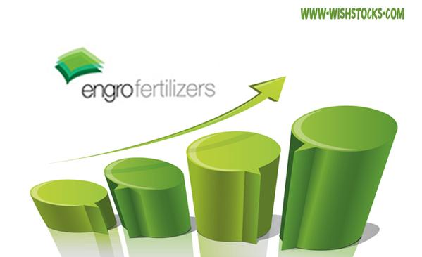 Pakistan’s Engro Fertilizer Looking for Investment Abroad