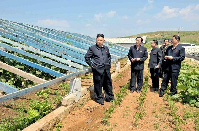 South Korea Approved a Fertilizer Aid Shipment for North Korea