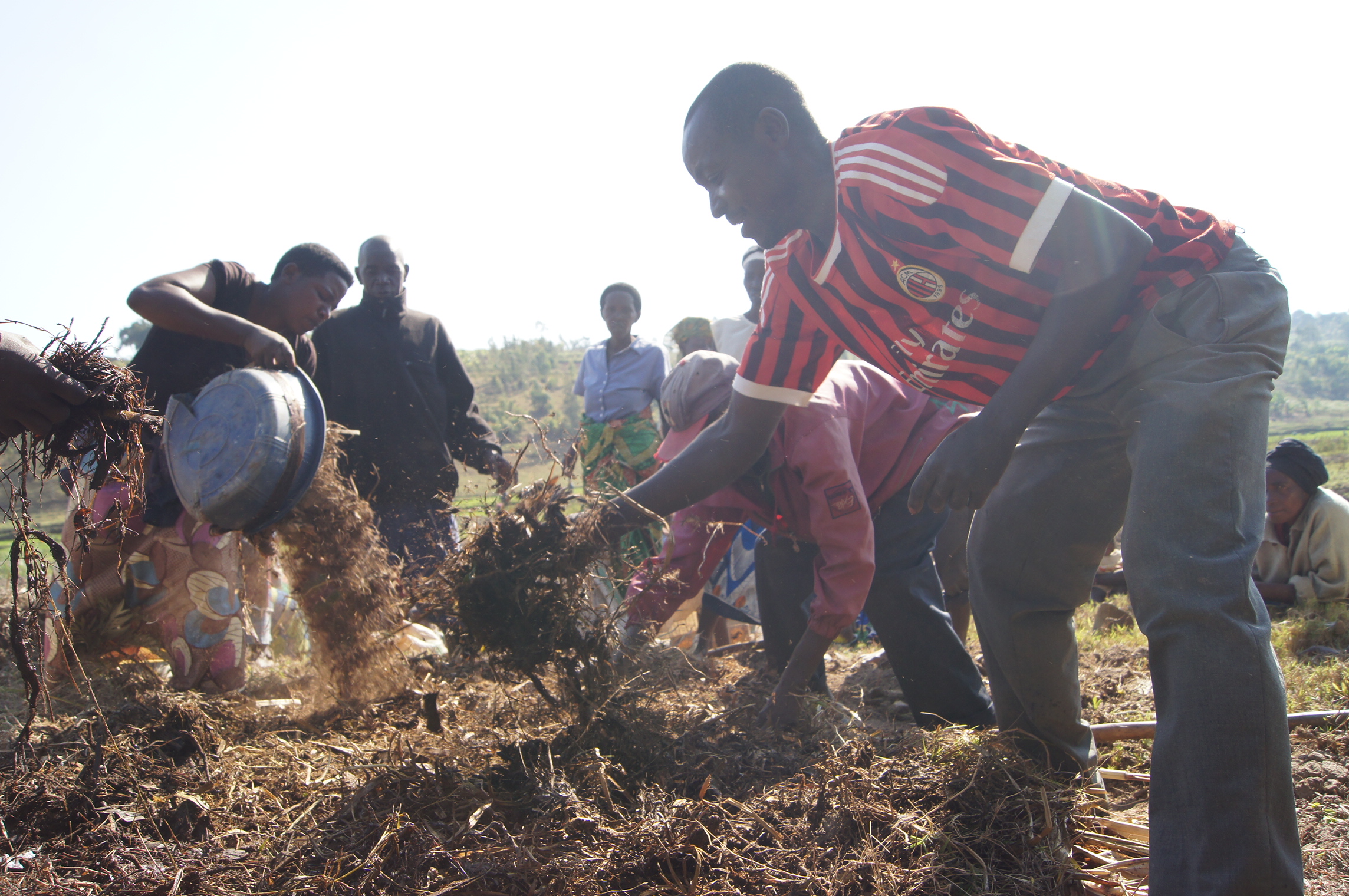 Rwanda’s Use of Fertilizers on Rise