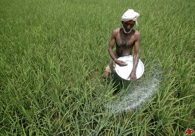 Indian Fertilizer Manufacturers Facing Slowdown in Demand