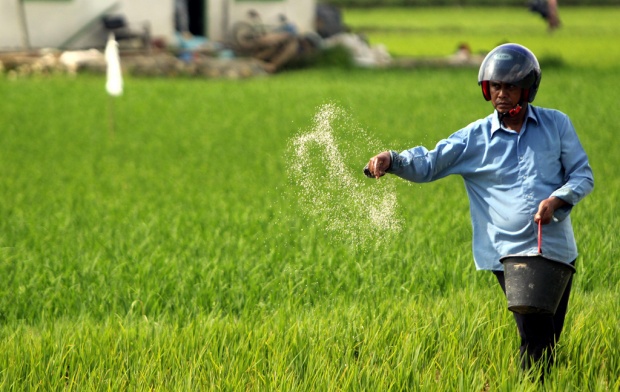 Bangkalan in Indonesia Increases Fertilizer Quota