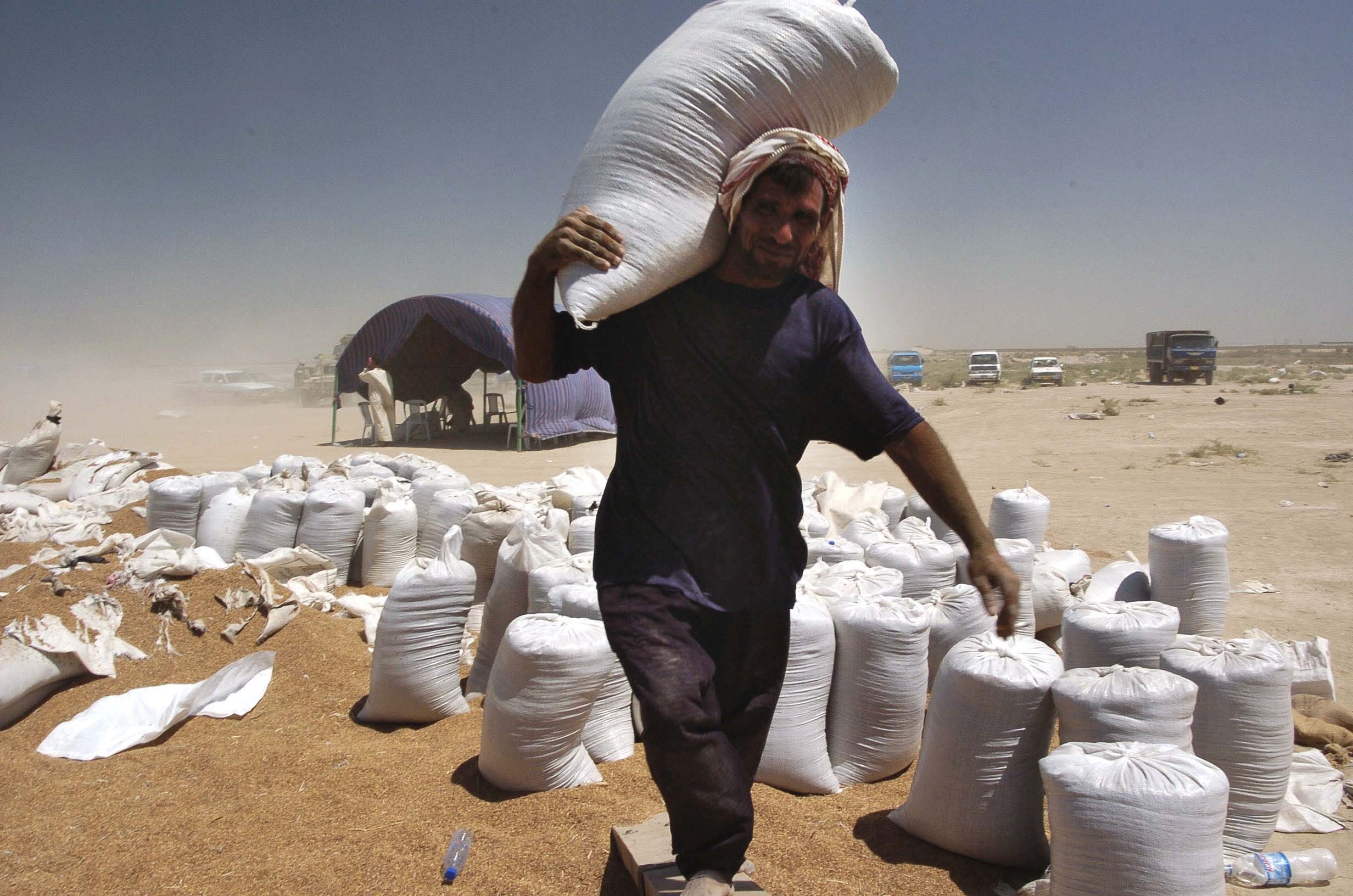 Boosting Food Security: UN Provides Fertilizer for Iraqi Farmers
