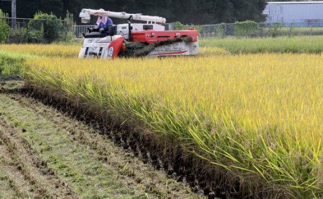 Market Update: Nutrien Not Yet Impacting Fertilizer Price for Farmers