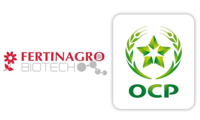 Morocco’s Phosphate Giant OCP Buys 20% of Spain’s Leading Fertilizer Company