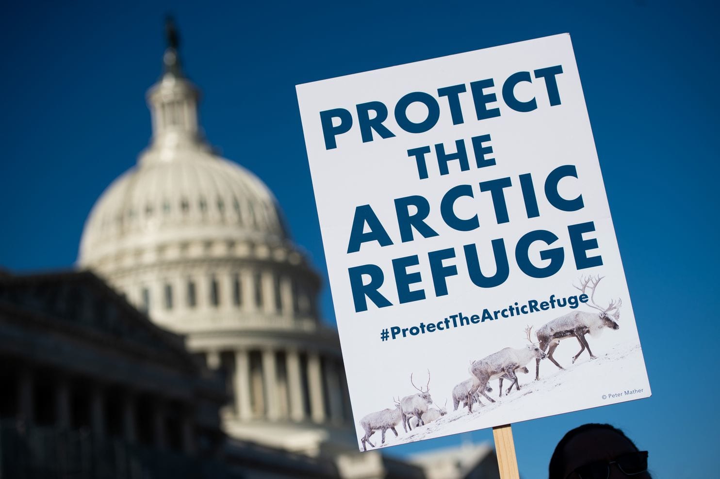 Donald Trump’s Arctic Drilling Agenda Slammed by Environmentalists