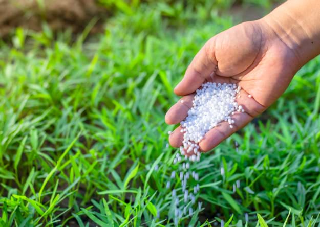 Fertilizer Trends for 2022: What Factors Drive Fertilizer Prices Higher